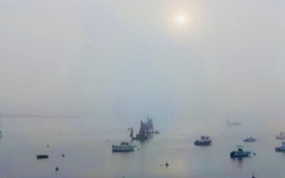 RDV DANS 49 ŒUVRES !