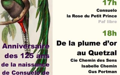 PLUME À OPPÈDE
